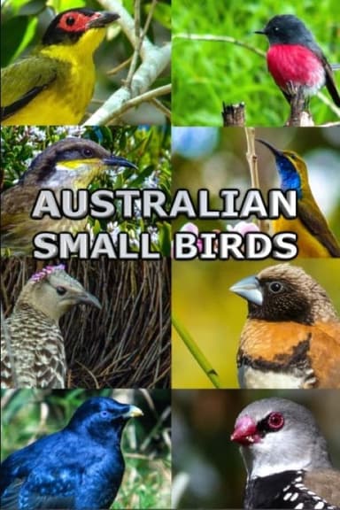 Australian Small Birds