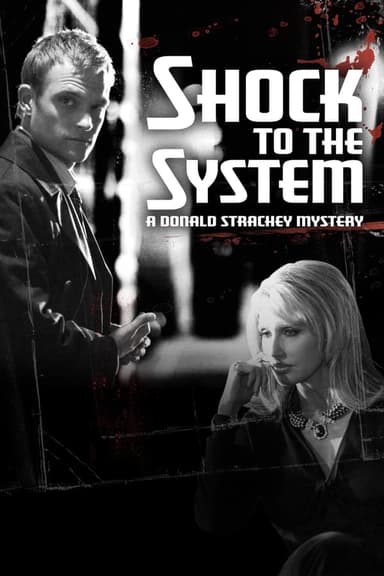 Shock to the System: A Donald Strachey Mystery