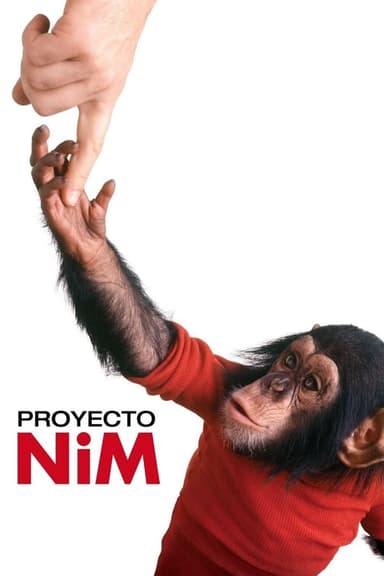 Proyecto Nim