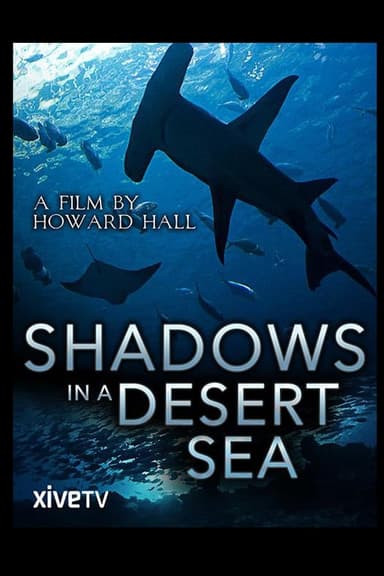 Shadows in a Desert Sea