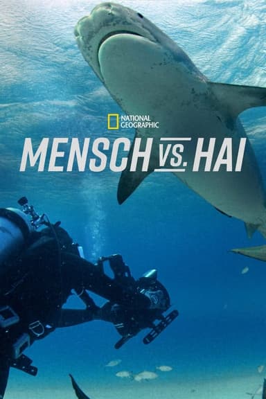 Mensch vs. Hai