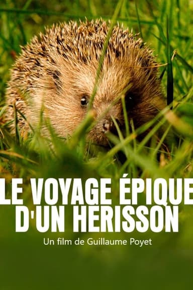 Le voyage épique d'un hérisson