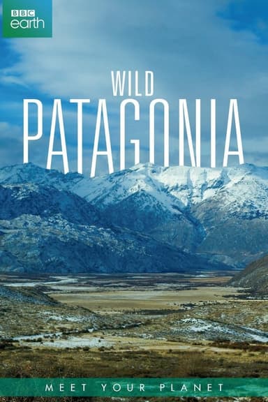 Patagonia Salvaje