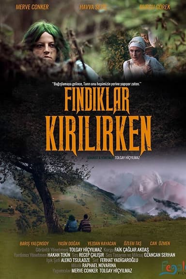 Fındıklar Kırılırken