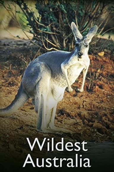 Wildest Australia