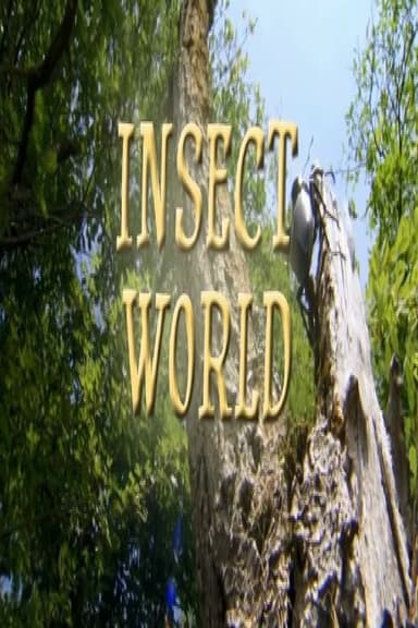 Insect World