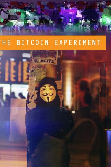 The Bitcoin Experiment