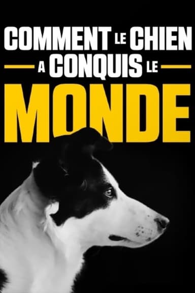 Comment le chien a conquis le monde