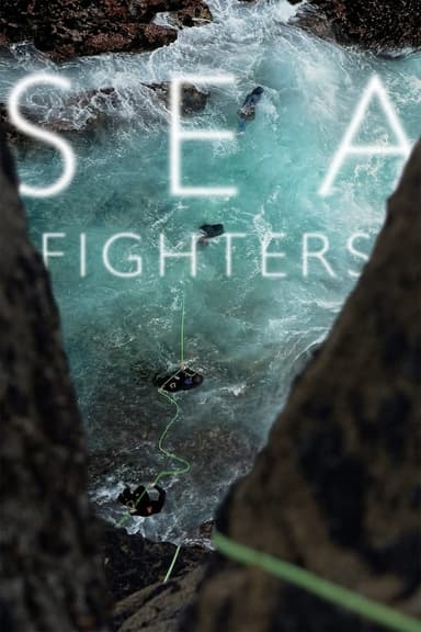 Seafighters