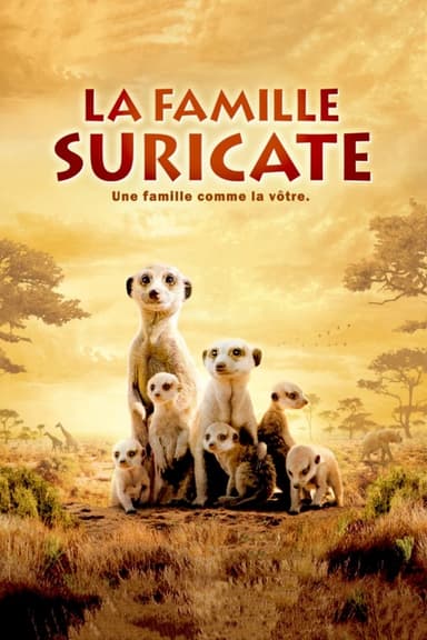 La Famille Suricate