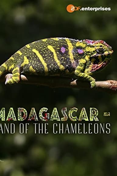 Madagascar: Land of the Chameleons