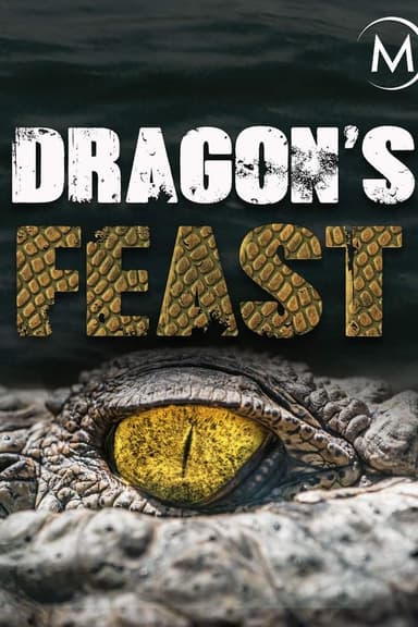 Dragon's Feast 3D