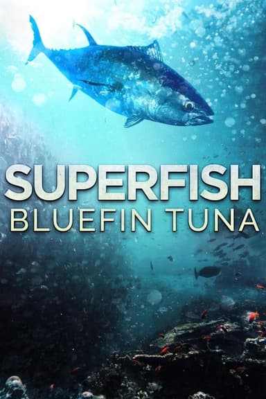 Superfish: Bluefin Tuna