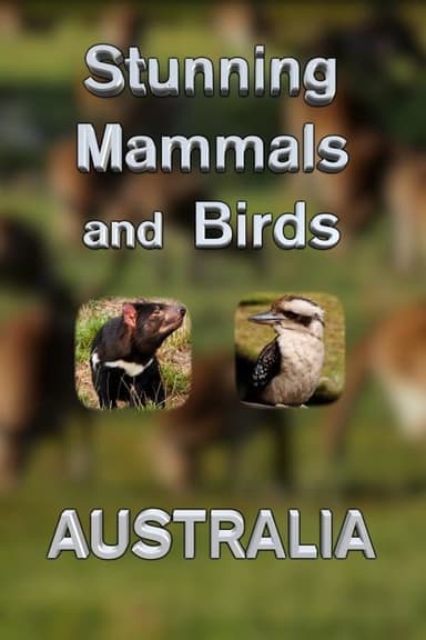 Stunning Mammals and Birds: Australia