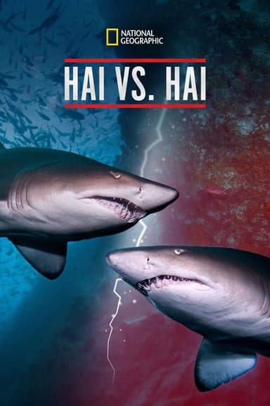 Hai vs Hai