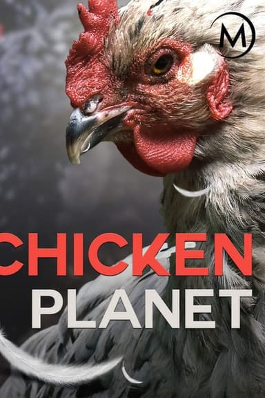 Chicken Planet