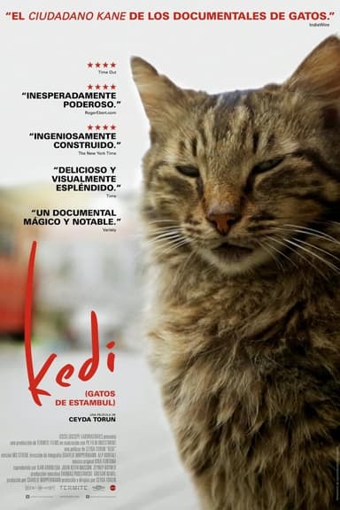 Kedi (Gatos de Estambul)