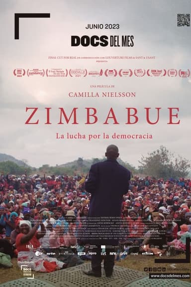 Zimbabue. La lucha por la democracia