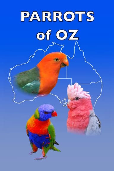 Parrots of Oz