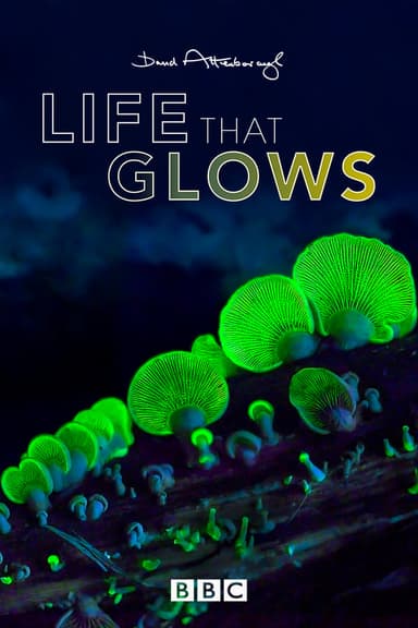 Attenborough's Life That Glows