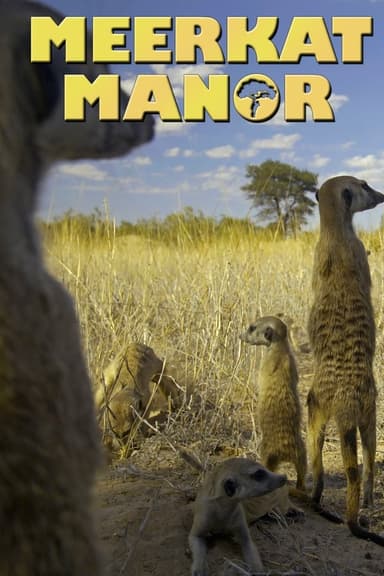 Meerkat Manor