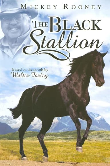 The Adventures of the Black Stallion