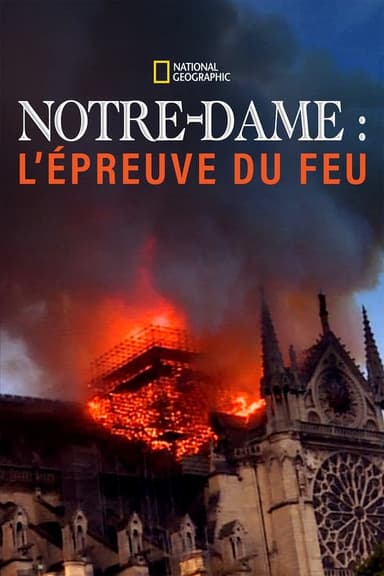 Notre-Dame : l'épreuve du feu