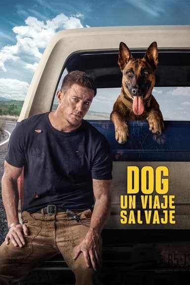 Dog. Un viatge salvatge