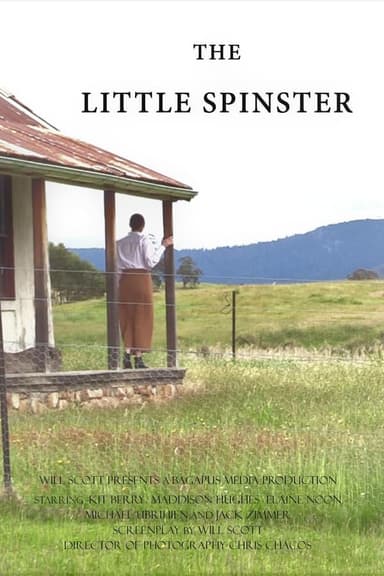 The Little Spinster