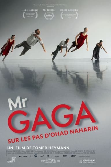 Mr Gaga