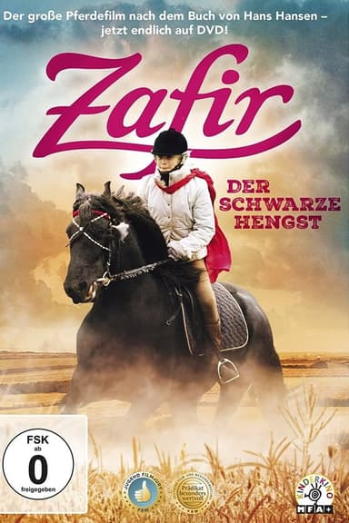 Zafir - Der schwarze Hengst