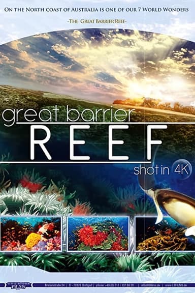 The Great Barrier Reef