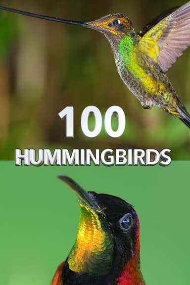 100 Hummingbirds