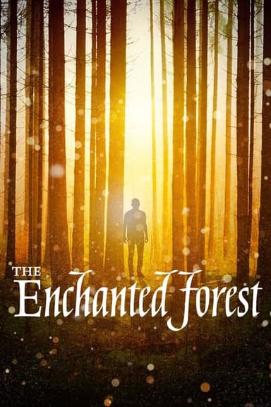 The Enchanted Forest