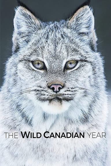 The Wild Canadian Year