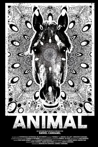 Animal