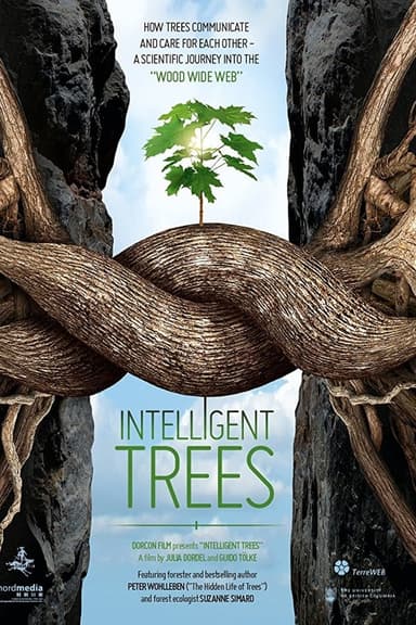 Intelligent Trees