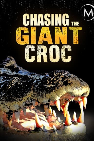 Chasing the Giant Croc