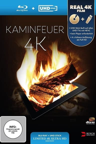 Kaminfeuer 4K