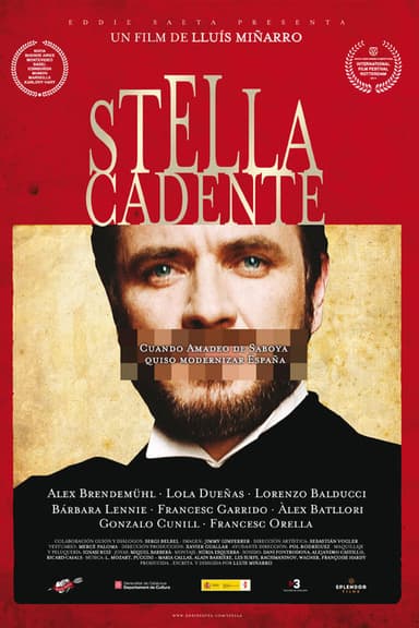 Stella cadente