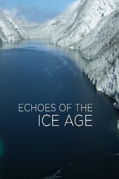 Echoes of the Ice Age