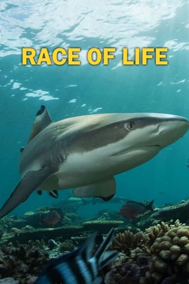 Race of life