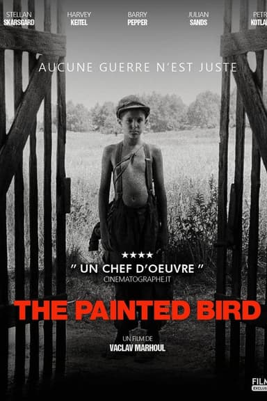 The Painted Bird