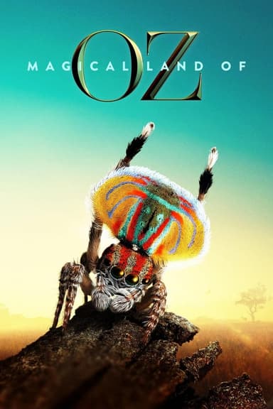 Magical Land of Oz