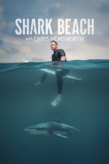 Shark Beach With Chris Hemsworth