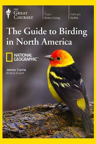 The National Geographic Guide to Birding in North America