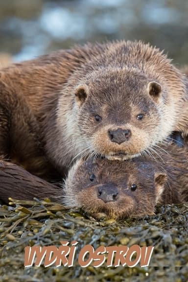 L'île aux loutres, une affaire de famille