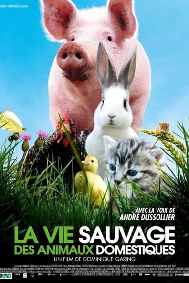 La vie sauvage des animaux domestiques