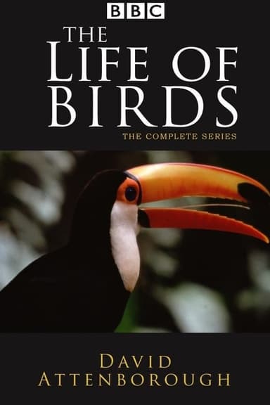 The Life of Birds