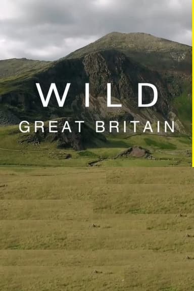 Wild Great Britain